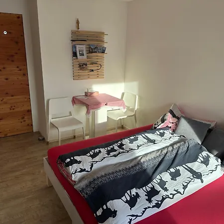 Kleines Aber Feines Appartement Zuoz